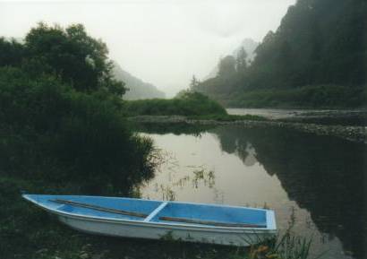 ���쐣�̒�