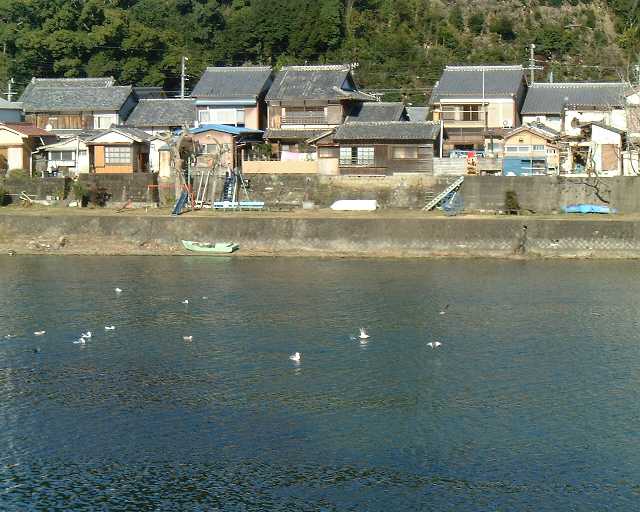 �͌��̓n�蒹