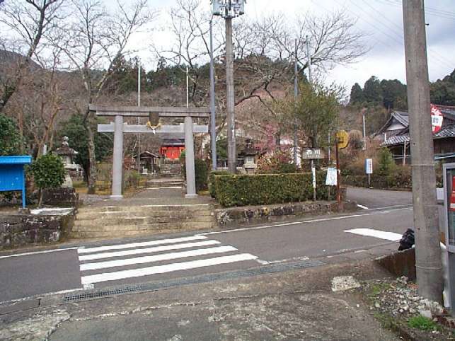 ����̍g�~�P