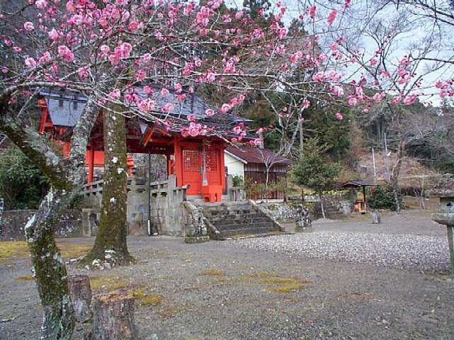 ����̍g�~�Q